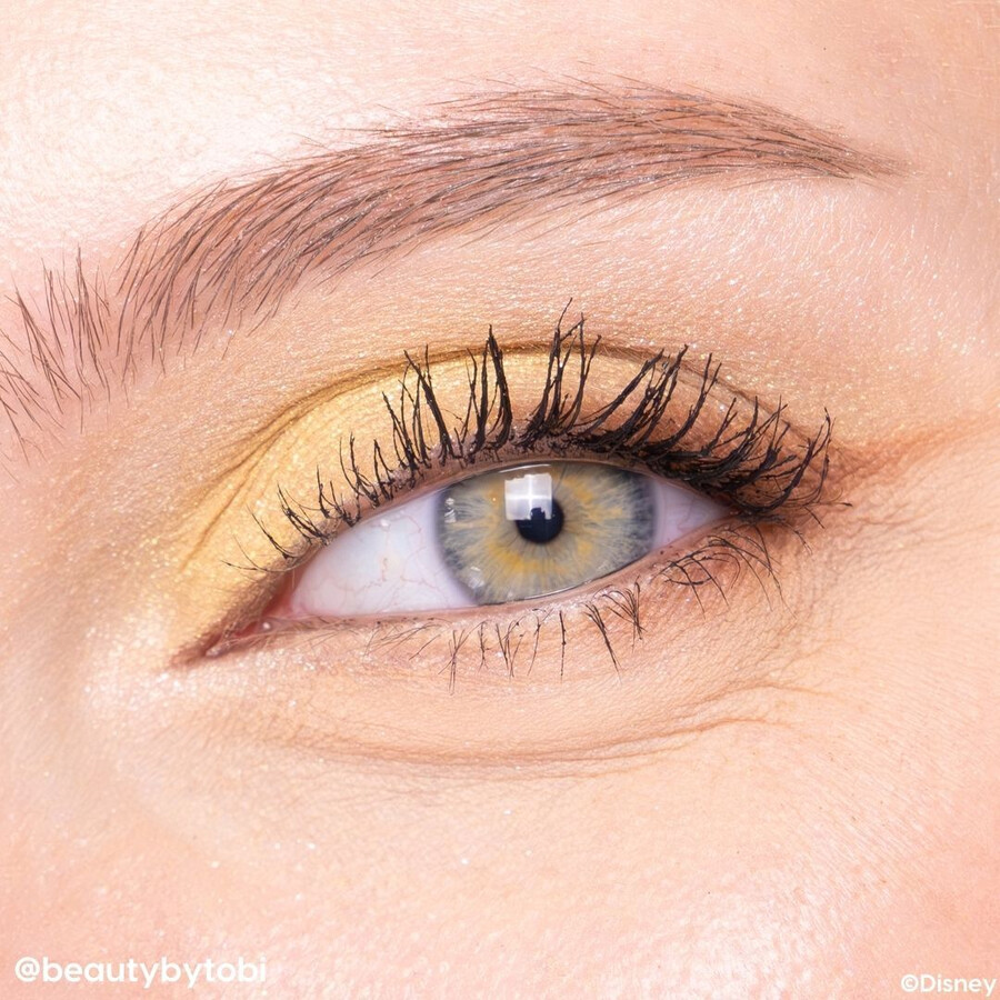 la bella y la bestia